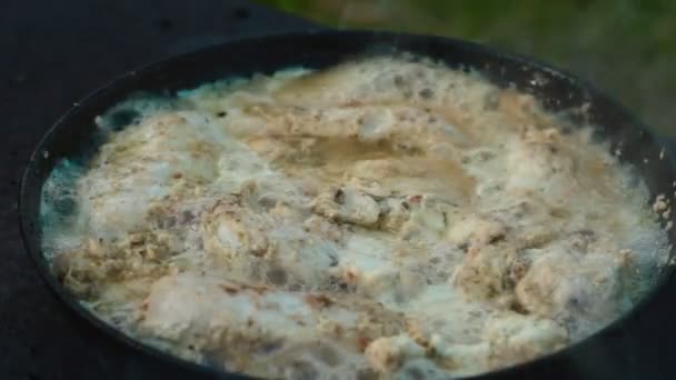 Carne di pollo in una padella — Video Stock