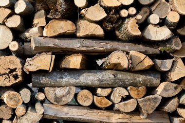 doğal ve kurutulmuş çeşidinde