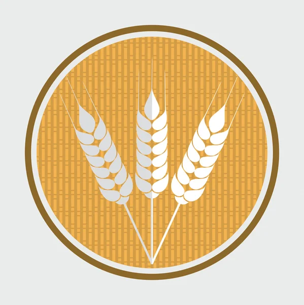 小麦のアイコン — ストックベクタ