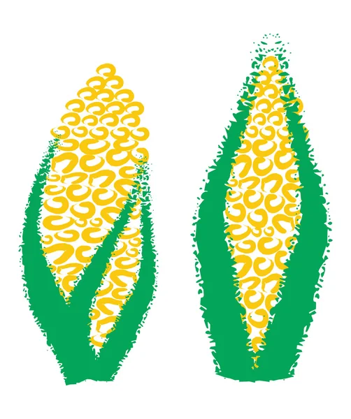 Hand drawing corn, maize, — Stock Vector