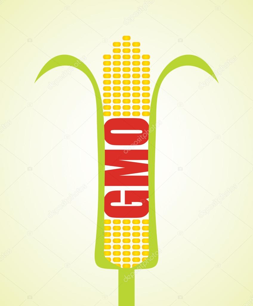 Genetically modified maize