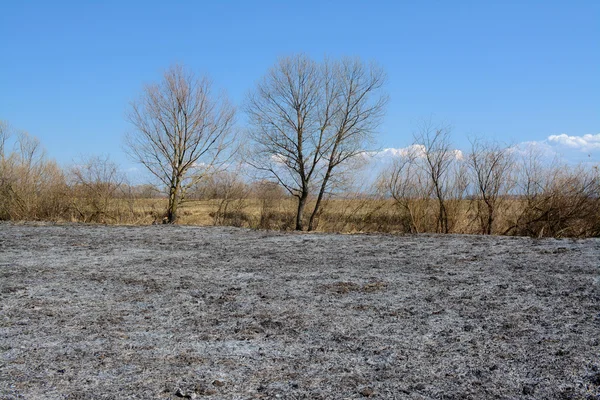 Gebrande veld — Stockfoto