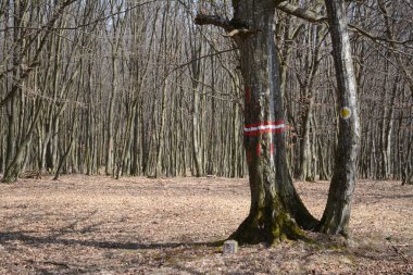 Hiking trail işareti