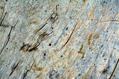 Ahşap doğal doku kırık