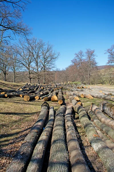 Wooden beam store