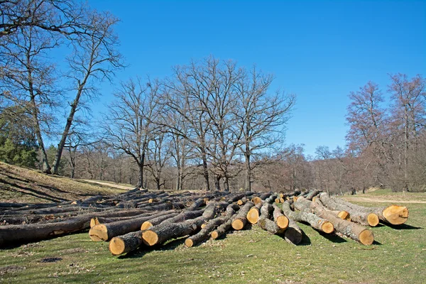 Wooden beam store