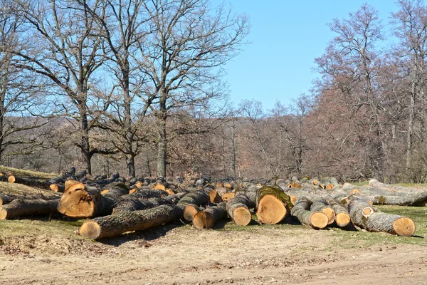 Wooden beam store