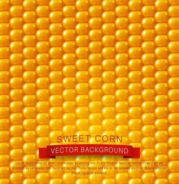 Textura, milho amarelo — Vetor de Stock