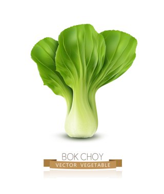 Pok Choy izole