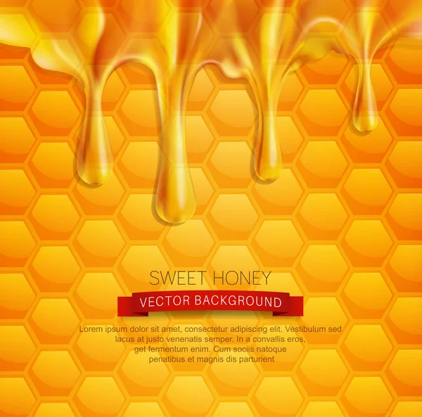 Background with honeycombs and honey — Stock Vector