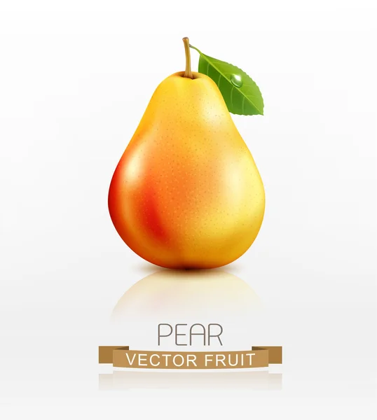 Frutos maduros de pera — Vector de stock