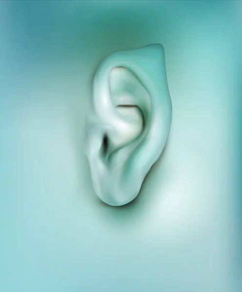 Elfe oreille réaliste — Image vectorielle