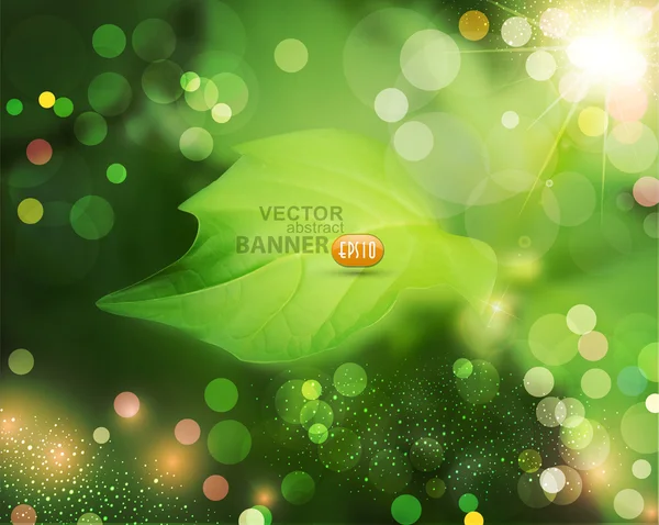 Fondo de verano con hoja verde — Vector de stock