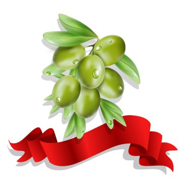 Vektör zeytin dalı kırmızı kurdele beyaz arka planda (isolat ile