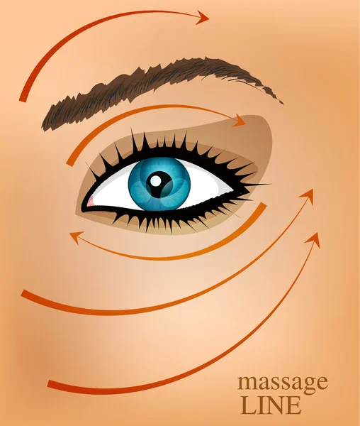 Part of the face and massage lines — Stock Vector