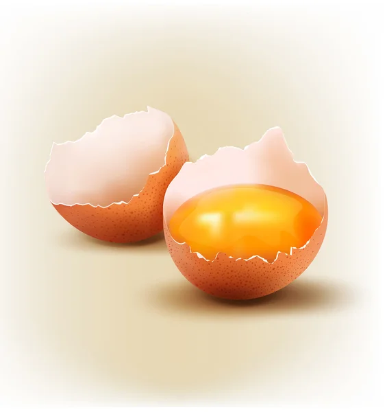 Broken egg with the yolk. — Stock Vector