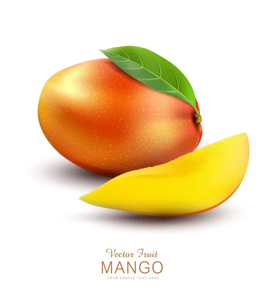 Ripe mango fruit with slice — Stock Vector