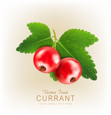 Frenk üzümü izole edildi