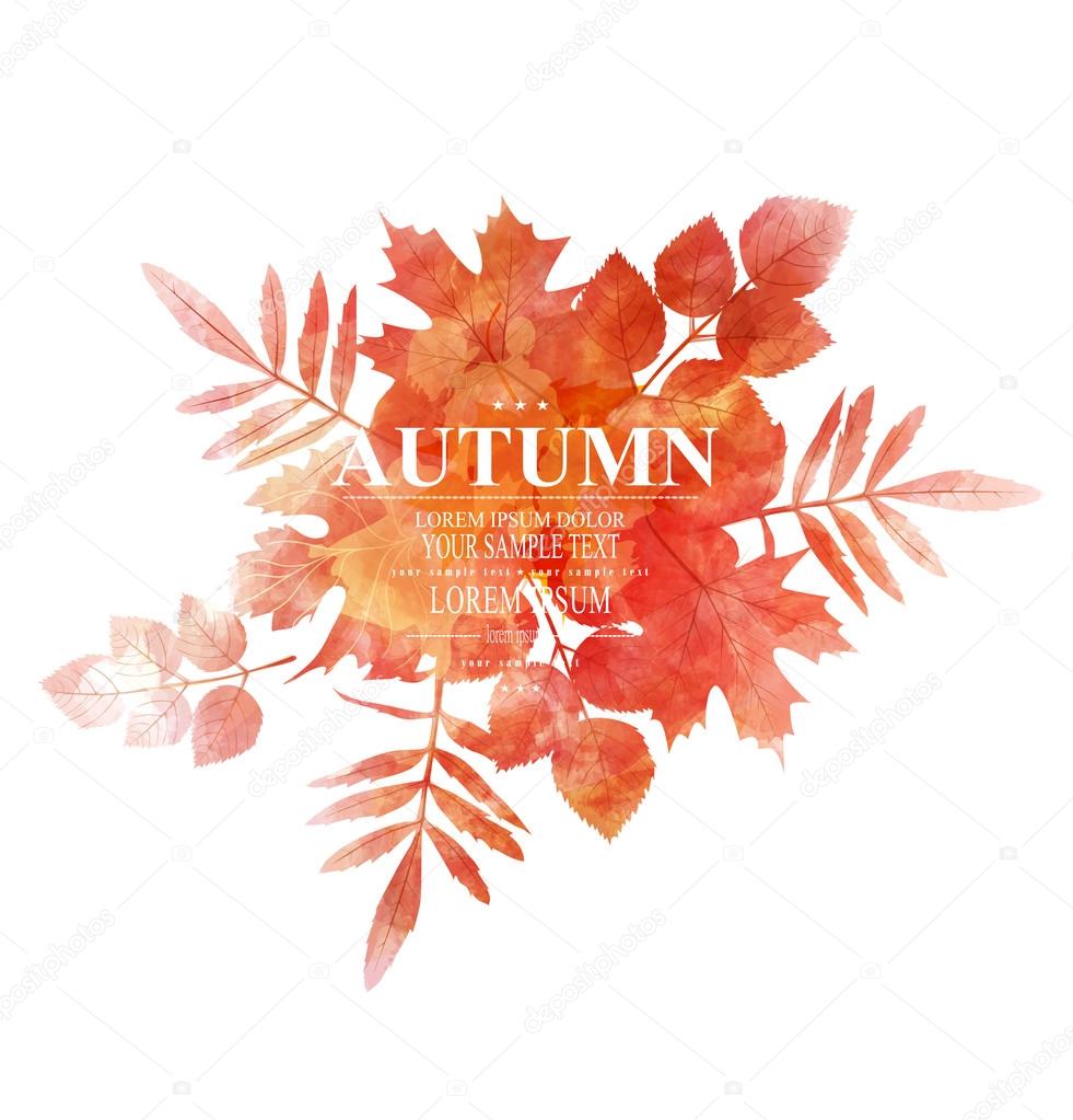 autumn background with orange leaves