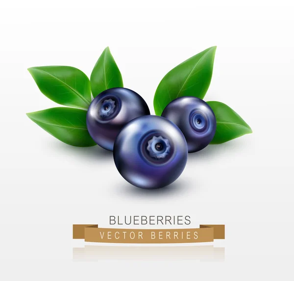 Tre blåbär med gröna blad — Stock vektor