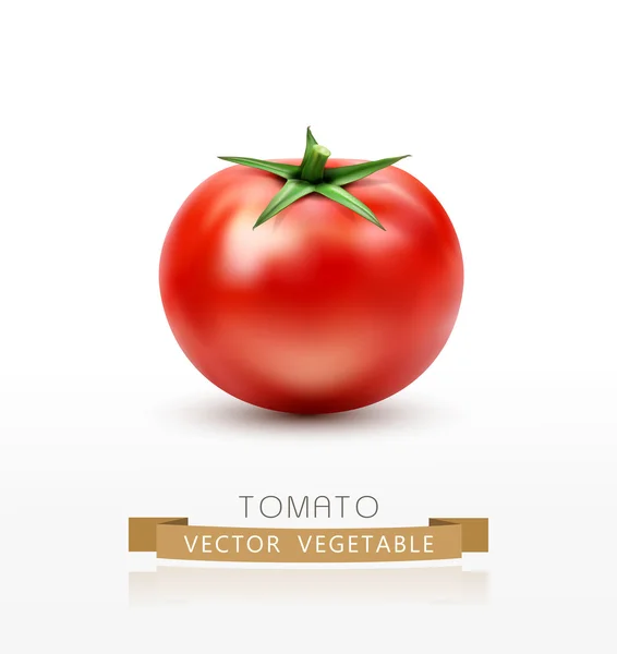 Tomate isoliert auf weiß — Stockvektor