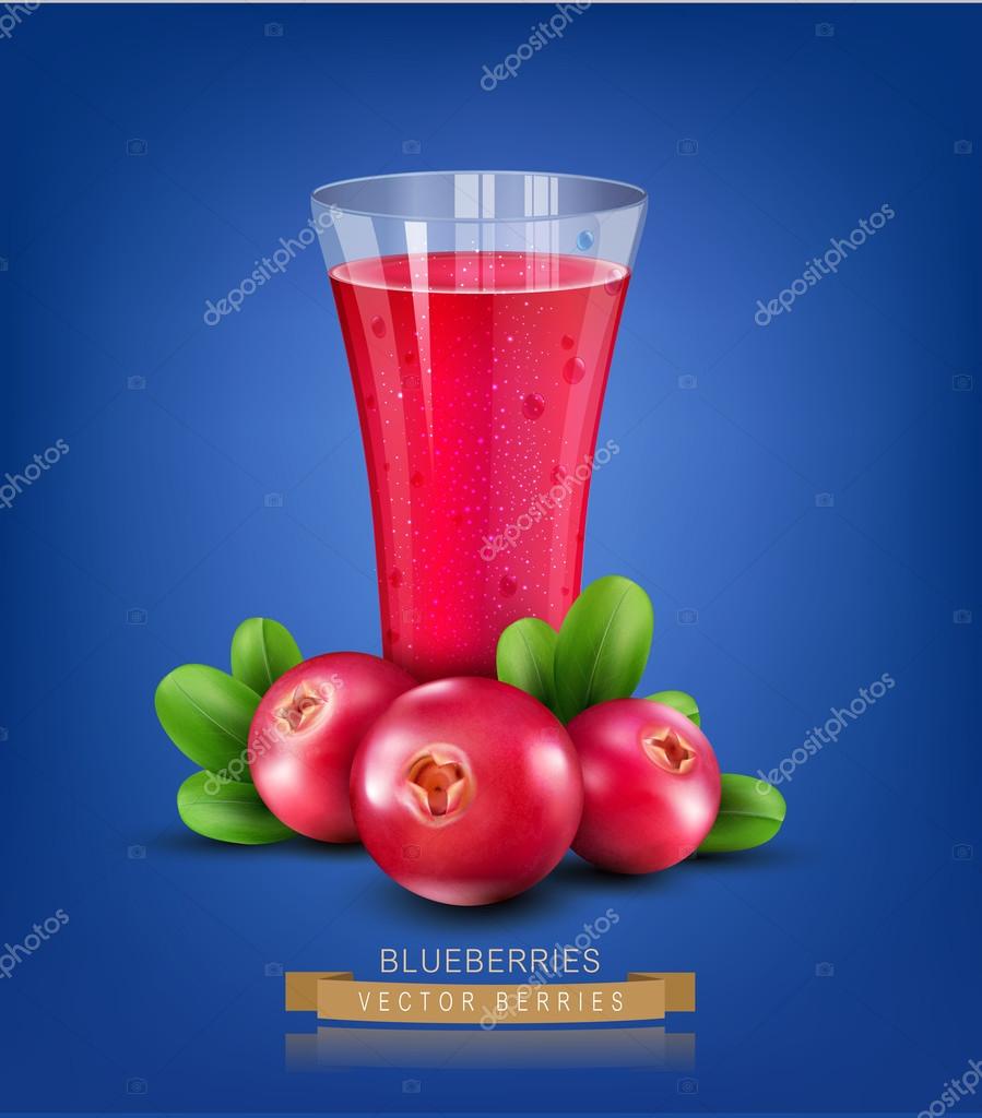 Gelas dengan jus cranberry   Stok Vektor  Alkestida 96995206