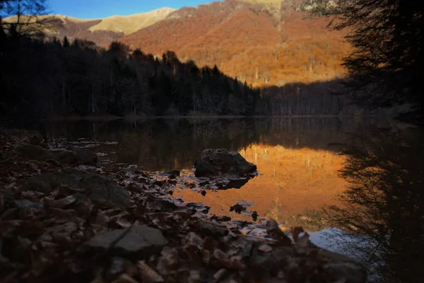 Herfst Landschap Aan Het Biogradsko Meer Nationaal Park Biogradska Gora — Stockfoto