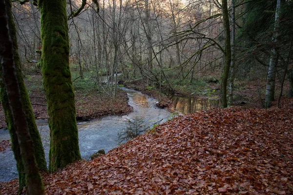 Water Het Herfstbos Bladeren Bomen Nationaal Park Biogradska Gora Montenegro — Stockfoto
