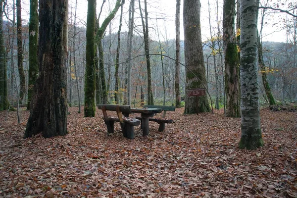 Banco Madera Bosque Otoño Paisaje Otoño Parque Nacional Biogradska Gora — Foto de Stock