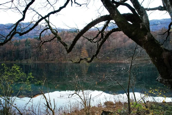 Herfst Landschap Aan Het Biogradsko Meer Nationaal Park Biogradska Gora — Stockfoto