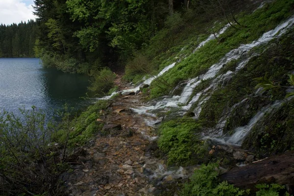 Watervallen Nationaal Park Durmitor Montenegro — Stockfoto