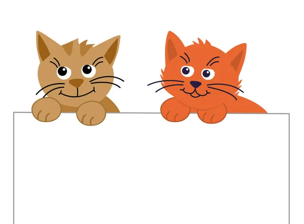 Zwei lustige süße Katzen schauen auf und halten ein Blatt Papier in der Hand — Stockvektor