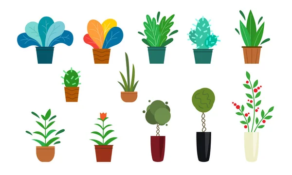 Conjunto de plantas em vaso ao ar livre e em casa. arbustos, árvores, flores. — Vetor de Stock