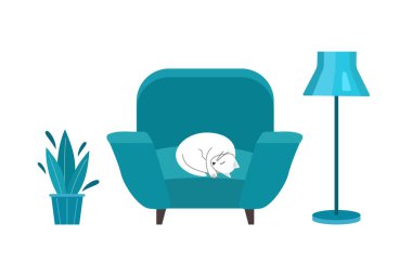 Şirin kedi beyaz sandalyede uyuyor. Rahat ev kavramı.