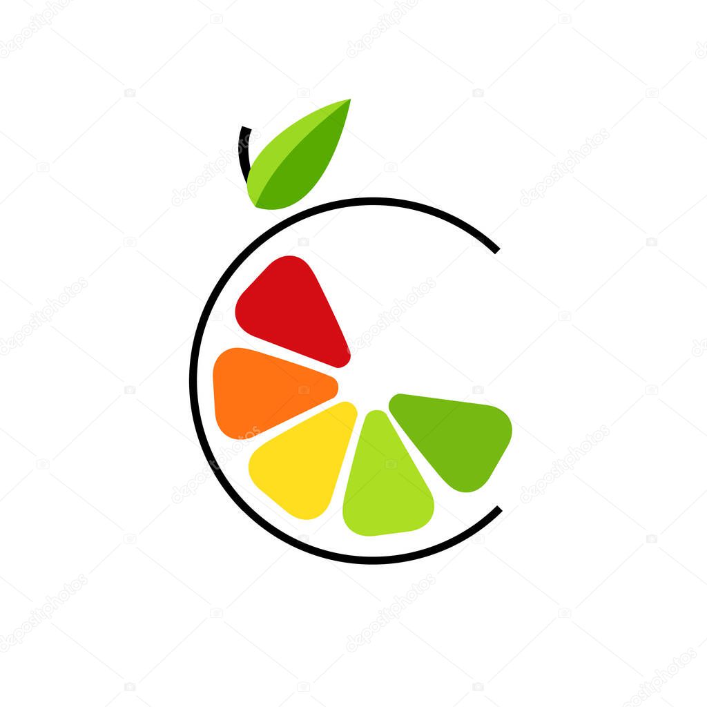 Abstract color slice citrus fruits with circle line. Logo concept