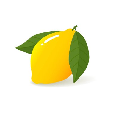 Sarı limonlu yakın çekim. Yapraklı gerçekçi sarı limon. Vektör illüstrasyonu