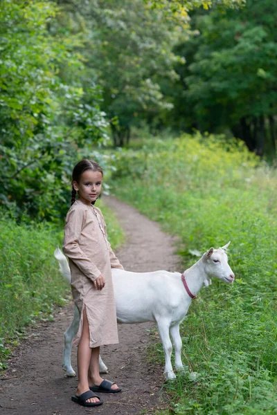 Een Kleine Geitenhoeder Het Bos Schattig Meisje Met Mooie Maar — Stockfoto