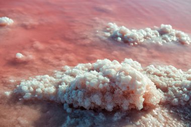 Tuz madenciliği endüstrisi. Tuzlu pembe göl ve tuz kristalleri. Aşırı tuzlu pembe göl. Torrevieja, İspanya ve Avrupa 'da kristalize tuz içeren mikro algler tarafından renklendirilmiş.