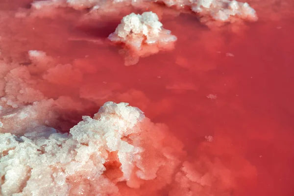 塩鉱業 塩の結晶と塩辛いピンクの湖 非常に塩辛いピンクの湖 トルレビエハの結晶塩沈殿物と微細藻類によって着色 スペイン ヨーロッパ — ストック写真