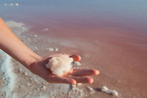 Boy Hand Full Salt Salty Pink Lake Salt Mining Extremely — Stock Photo, Image