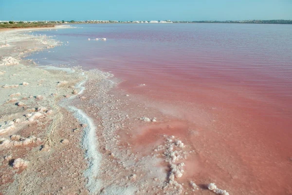 Salt Mining Salty Pink Lake Crystals Salt Extremely Salty Pink — Stock Photo, Image
