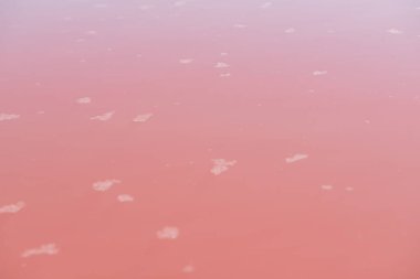 Tuzlu pembe göl, tuz kristalleri, detay. Tuz madenciliği endüstrisi. Aşırı tuzlu pembe göl. Torrevieja, İspanya ve Avrupa 'da kristalize tuz içeren mikro algler tarafından renklendirilmiş.