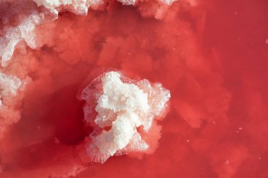 Tuzlu pembe göl, tuz kristalleri, detay. Tuz madenciliği endüstrisi. Aşırı tuzlu pembe göl. Torrevieja, İspanya ve Avrupa 'da kristalize tuz içeren mikro algler tarafından renklendirilmiş.