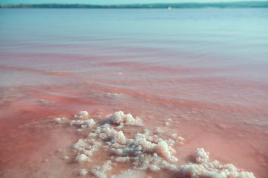 Tuzlu pembe göl, tuz kristalleri, detay. Tuz madenciliği endüstrisi. Aşırı tuzlu pembe göl. Torrevieja, İspanya ve Avrupa 'da kristalize tuz içeren mikro algler tarafından renklendirilmiş.