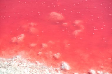 Yüzeyinde yüzen tuz kristalleri olan tuzlu pembe bir göl. Tuz madenciliği endüstrisi. Aşırı tuzlu pembe göl. Torrevieja, İspanya ve Avrupa 'da kristalize tuz içeren mikro algler tarafından renklendirilmiş.
