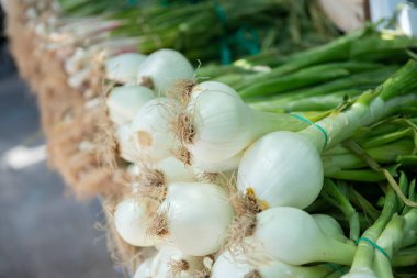 Açık hava sebze pazarında taze taze soğan satılıyor.