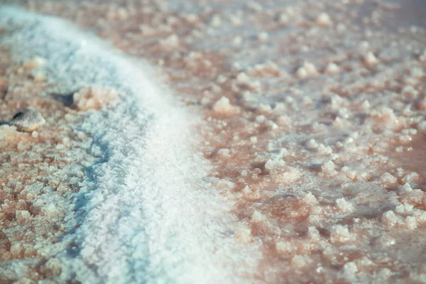 塩の結晶と塩辛いピンクの湖 塩鉱業 非常に塩辛いピンクの湖 トルレビエハの結晶塩沈殿物と微細藻類によって着色 スペイン ヨーロッパ — ストック写真