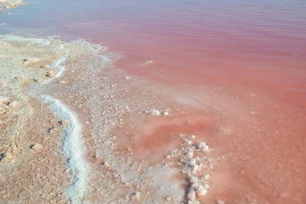 Salty Pink Lake Crystals Salt Detail Unusual Landscape Salt Mining — Stock Photo, Image