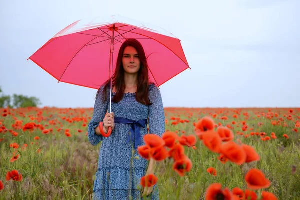青い夏のドレスを着た若い美しい女性がケシ畑で赤い傘を持っています 魅力的な女の子は雨の前に 自然の屋外を歩く — ストック写真