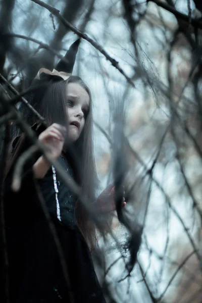 Κοριτσάκι Ντυμένο Στολή Μάγισσας Που Περπατάει Στο Φθινοπωρινό Δάσος Εκφράσεις — Φωτογραφία Αρχείου